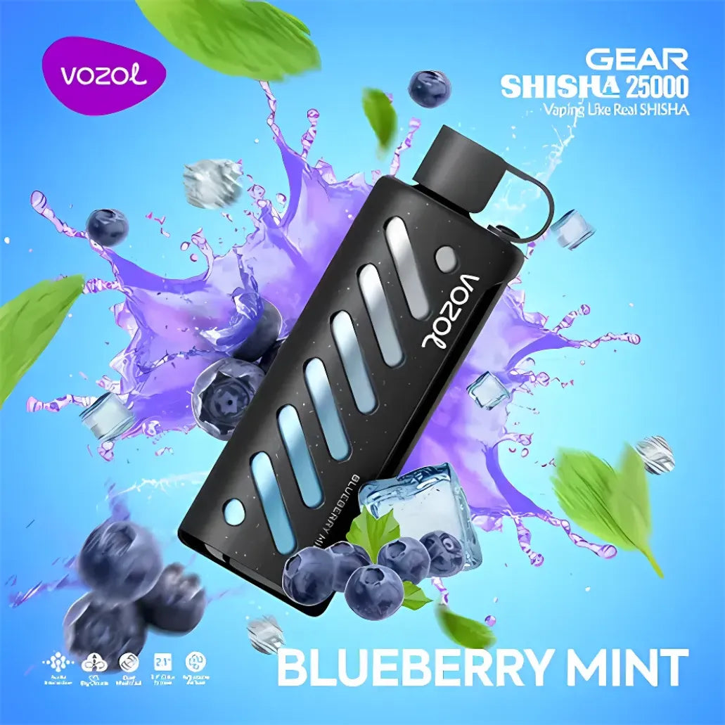 VOZOL Gear Shisha 25000 Puffs Dual Mode Disposable Vape in UAE
