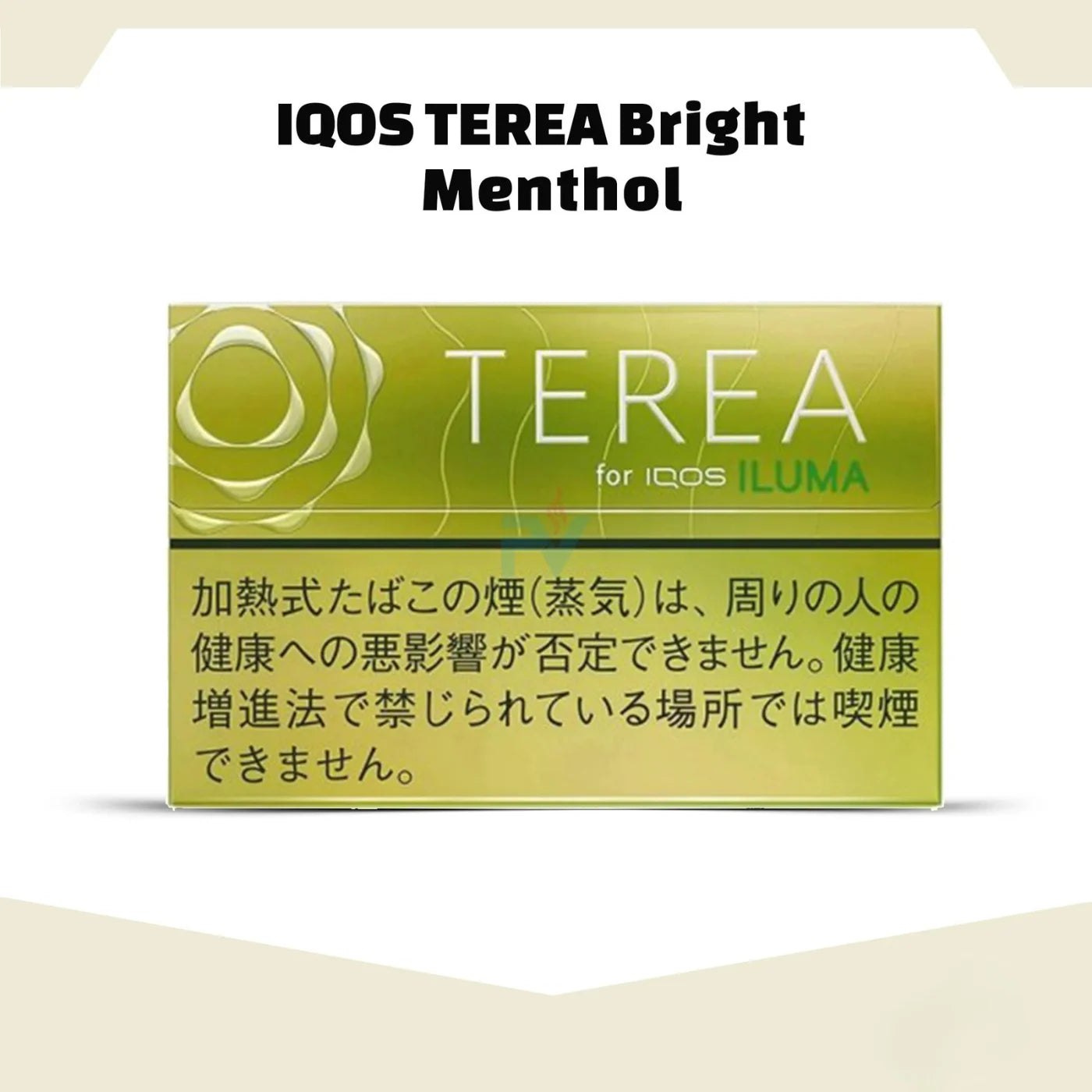 IQOS TEREA Japan Sticks for ILUMA in Dubai