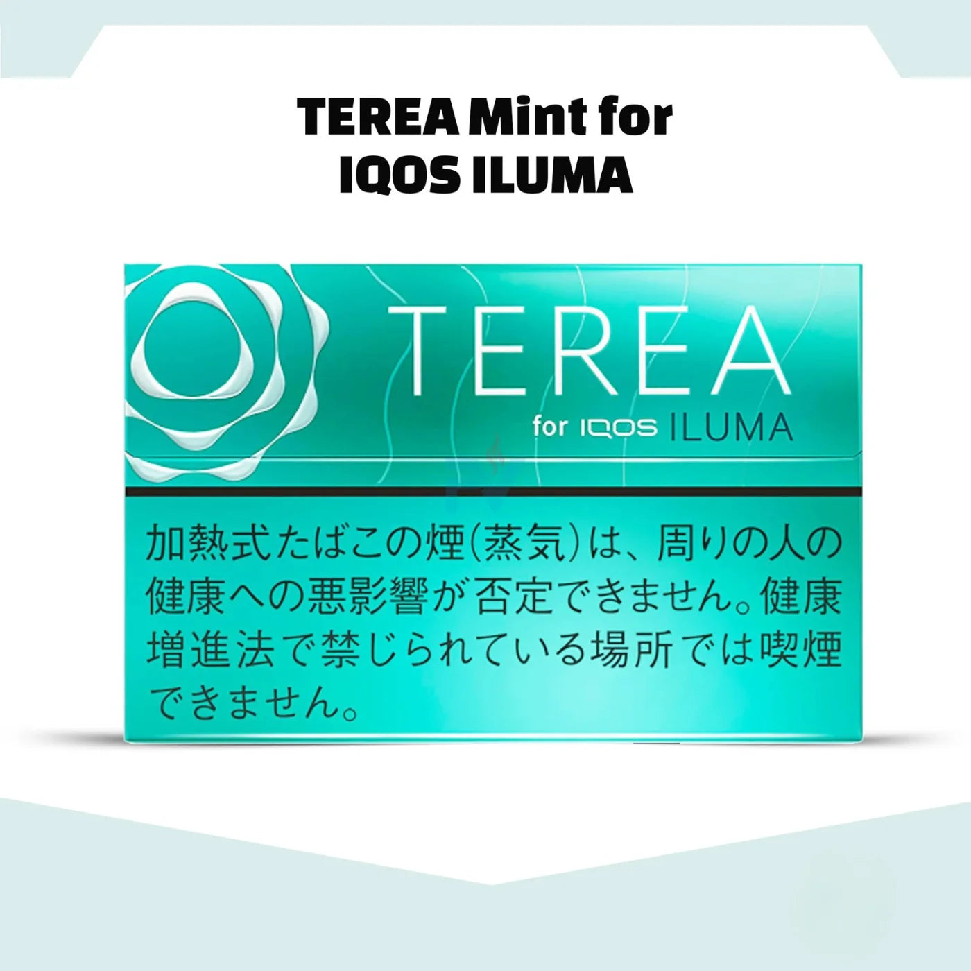 IQOS TEREA Japan Sticks for ILUMA in Dubai