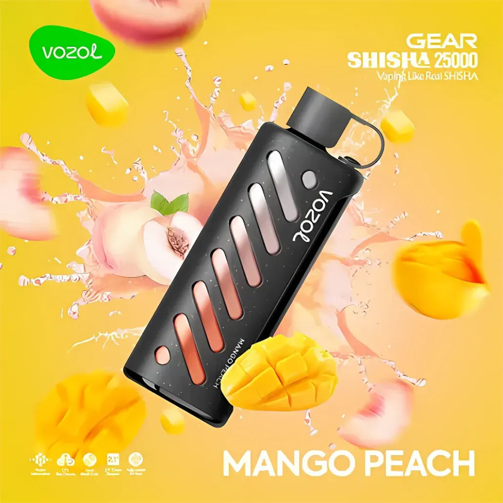VOZOL Gear Shisha 25000 Puffs Dual Mode Disposable Vape in UAE