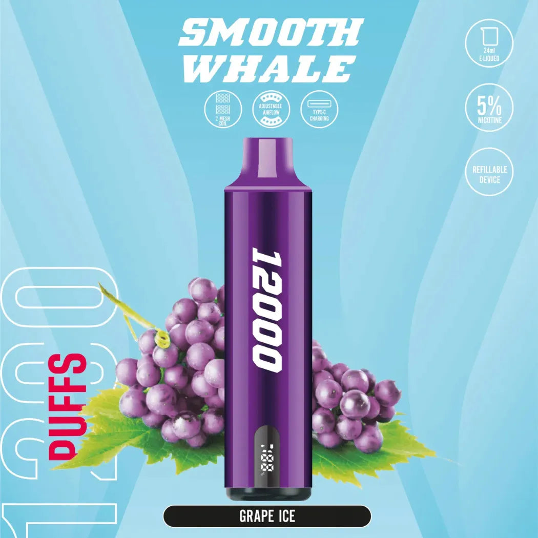 SMOOTH Whale 12000 Puffs Disposable Vape 2% & 5% in Dubai, UAE