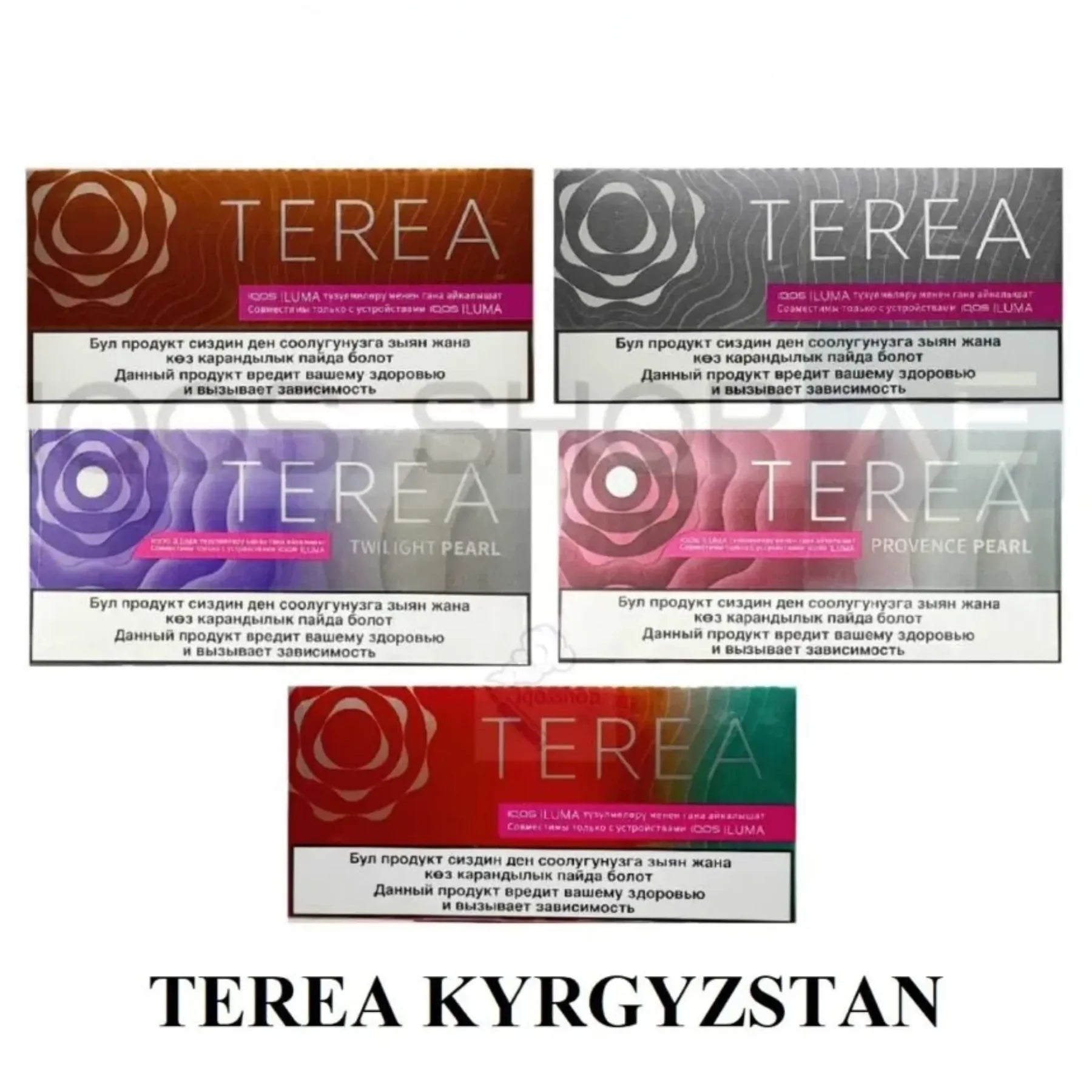 TEREA-KYRGYZSTAN-2