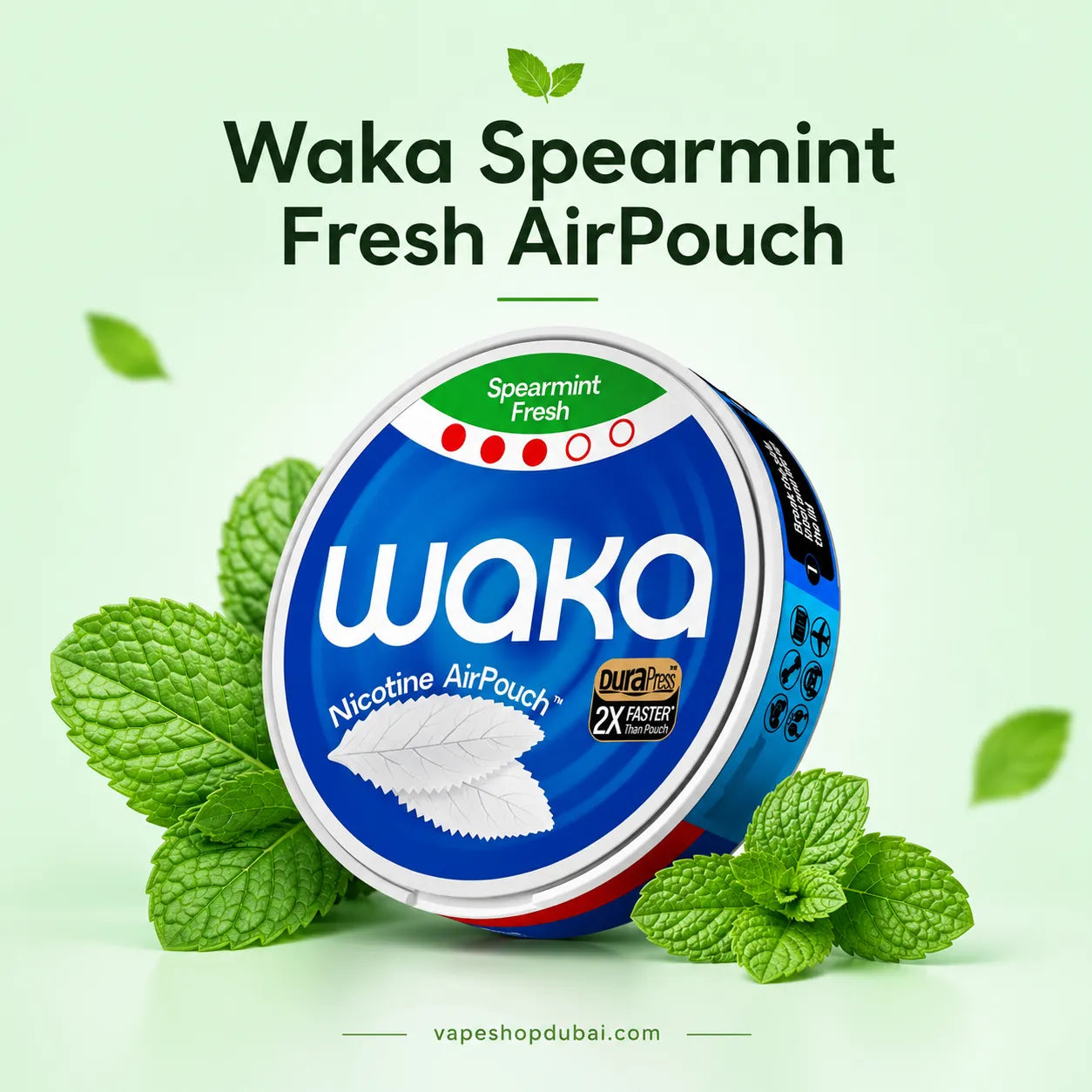 Waka Spearmint Fresh AirPouch 