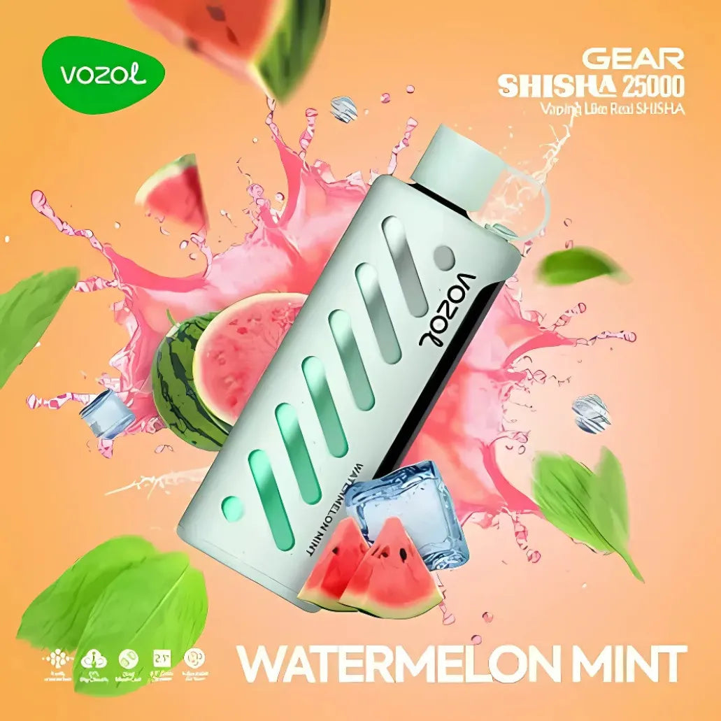 VOZOL Gear Shisha 25000 Puffs Dual Mode Disposable Vape in UAE