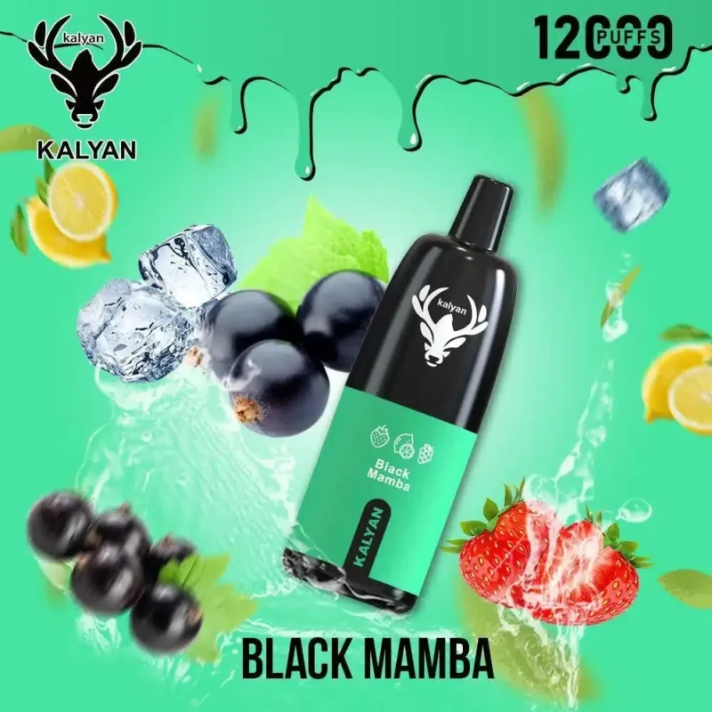 Best Kalyan 12000 Puffs - Black Mamba