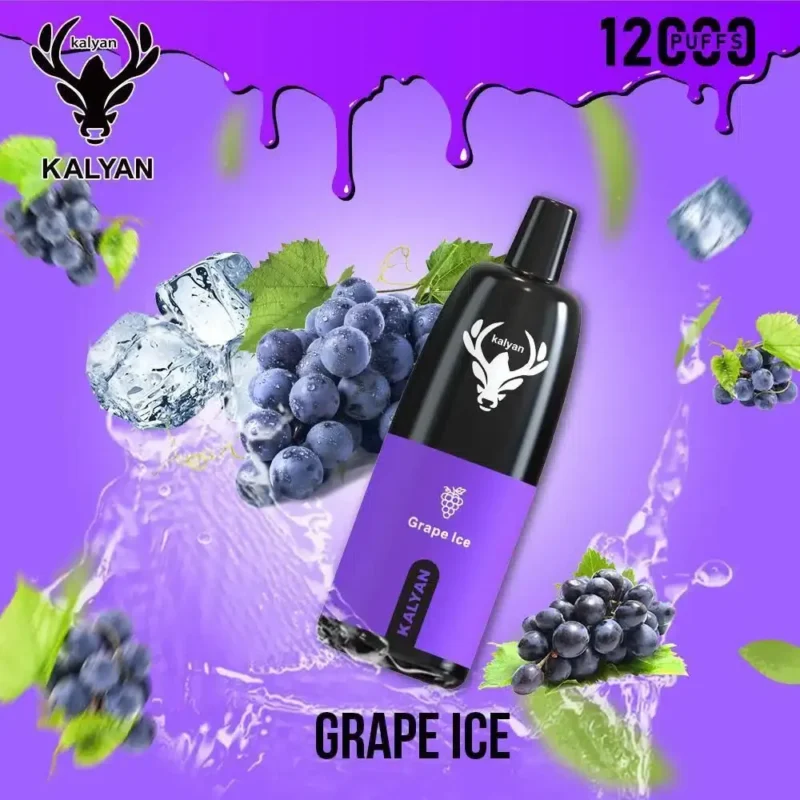 Best Kalyan 12000 Puffs - Grape Ice