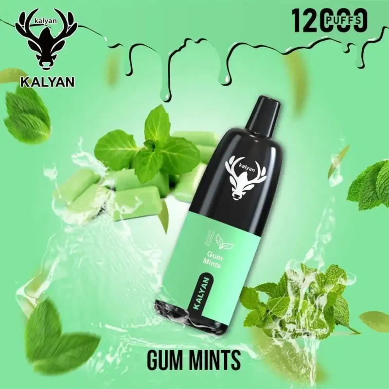 Best Kalyan 12000 Puffs - Gum Mints