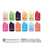 MYLE-Meta-Box-5000-Disposable-Pod-Device.webp