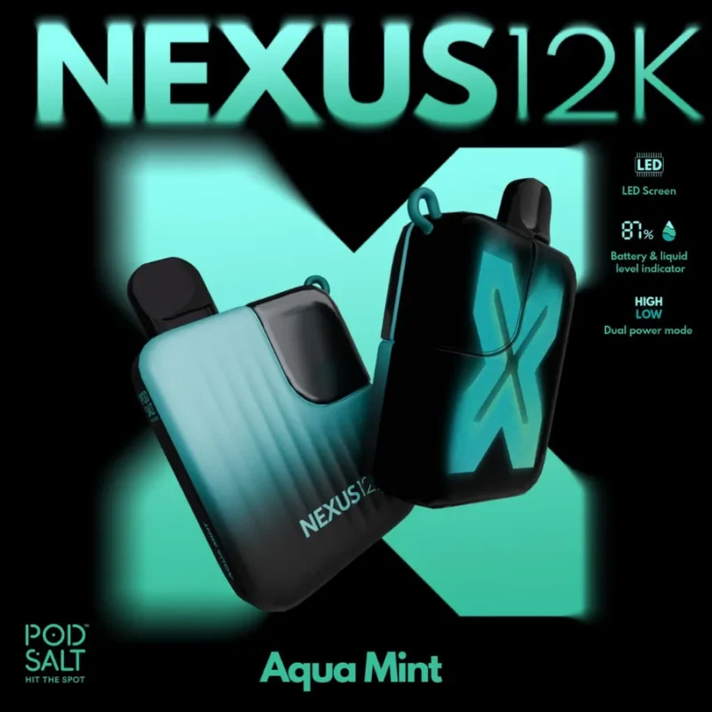 Best Pod Salt Nexus 12000 Puffs - Aqua Mint