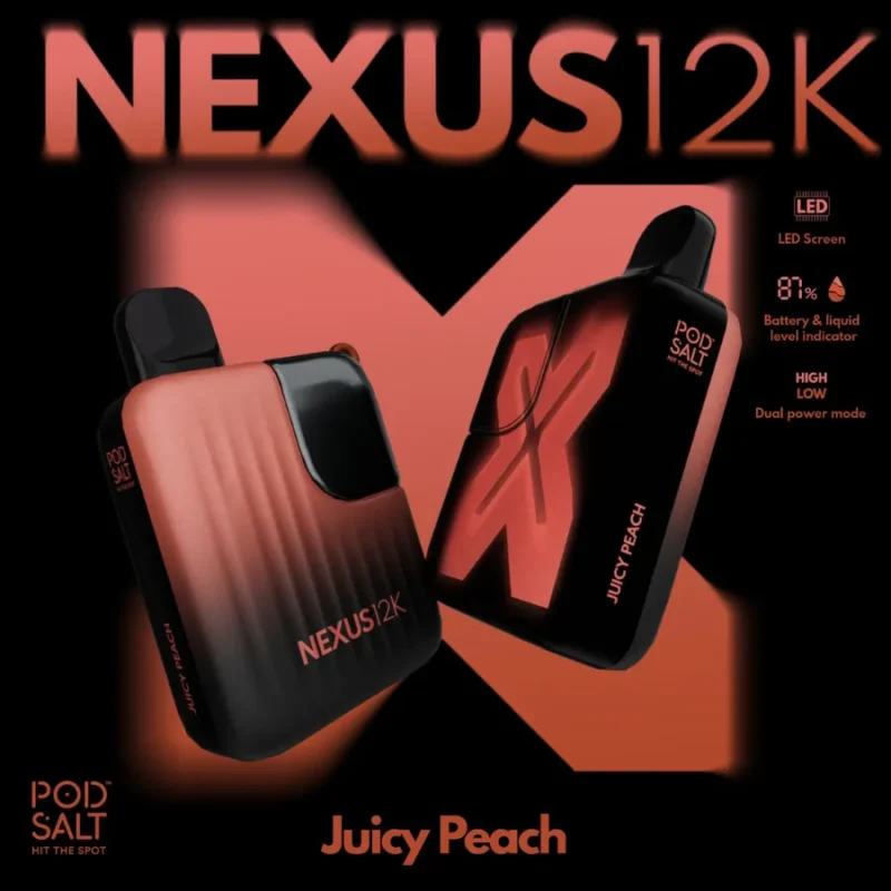 Best Pod Salt Nexus 12000 Puffs - Juicy Peach