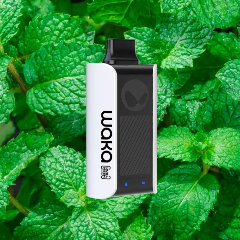 Fresh Mint - Waka soPro PA10000 Disposable Vape in Dubai, UAE