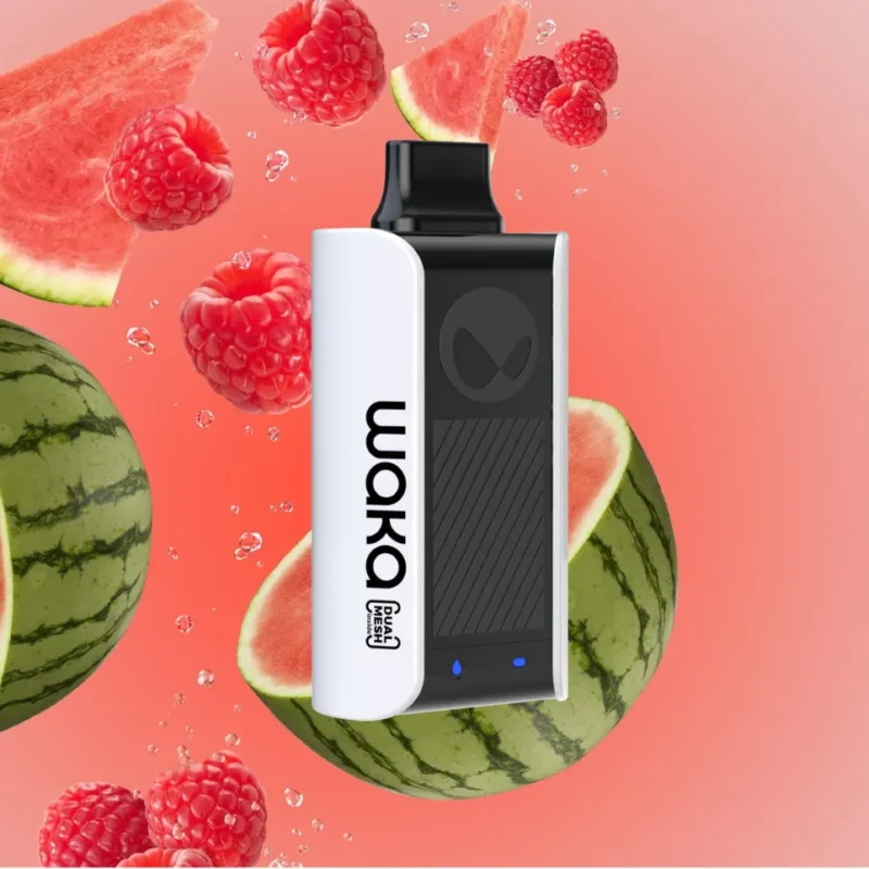Raspberry Watermelon - Waka soPro PA10000 Disposable Vape in Dubai, UAE