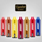 SMOOTH Whale Disposable 2% & 5% 12000 Puffs Rechargeable Vape in Dubai, UAE