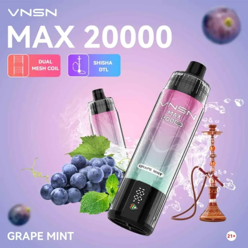 VNSN Max Shisha 20000 Puffs Disposable Vape 50mg in Dubai, UAE - Grape Mint