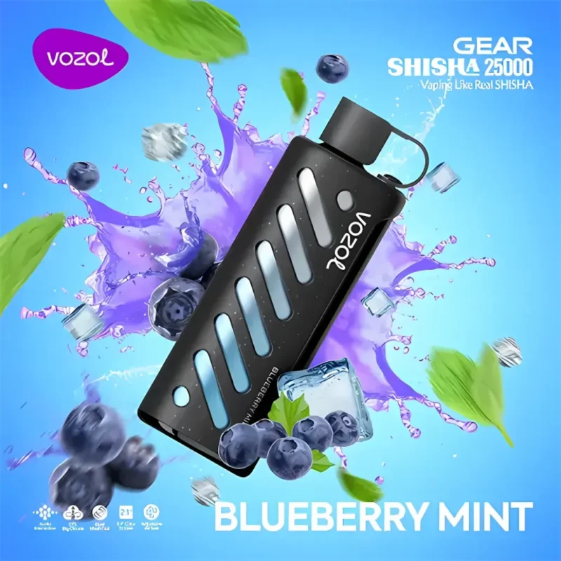 Blackcurrant Mint - VOZOL Gear Shisha 25000 Puffs Dual Mode Disposable Vape 5mg in Dubai, UAE