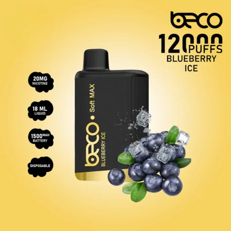 Blueberry Ice - Beco Soft Max 12000 Puffs Disposable Vape in Dubai, UAE